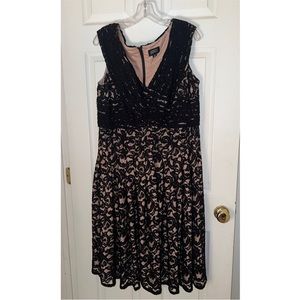 Adrianna Papell Black and Tan Dress | Plus Size